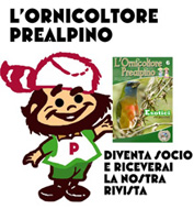 mascotte prealpina