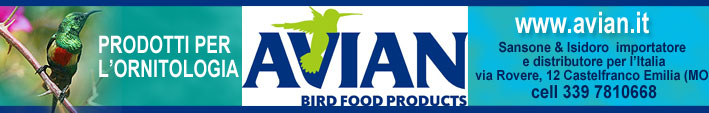 pubblicit&agrave; avian