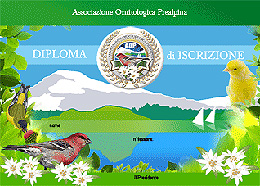 diploma prealpina