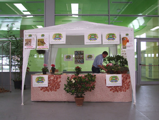 gazebo prealpino