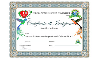 diploma iscrizione FEO